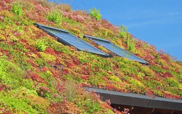 Lower Slackstead living roof systems